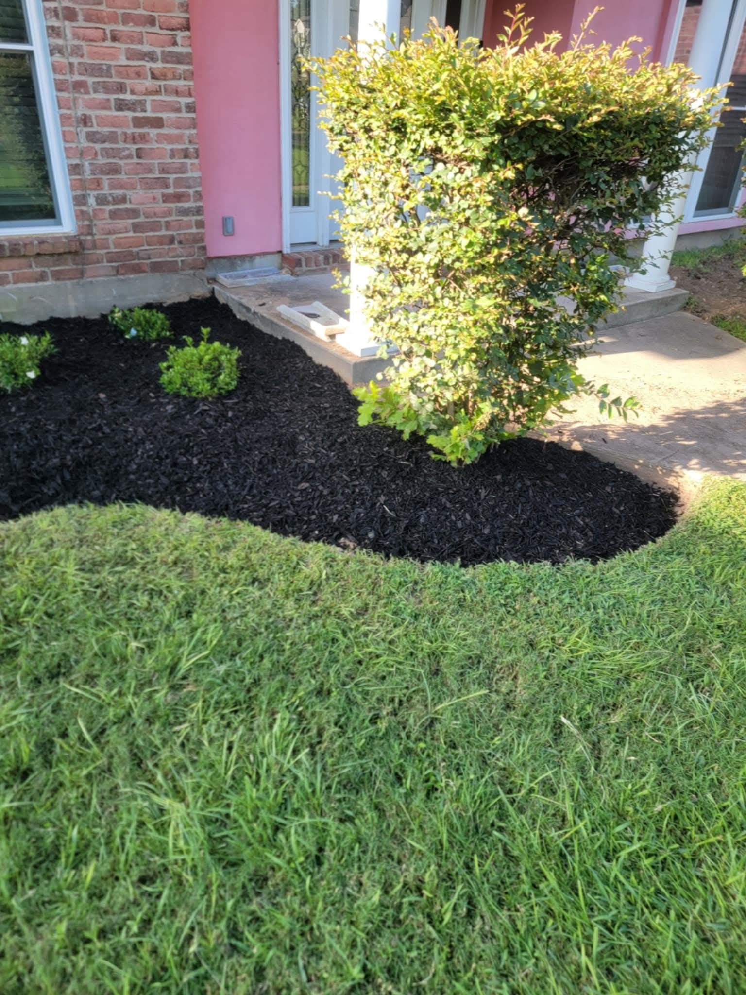 After: curved black-mulch bed with new plants by the porch