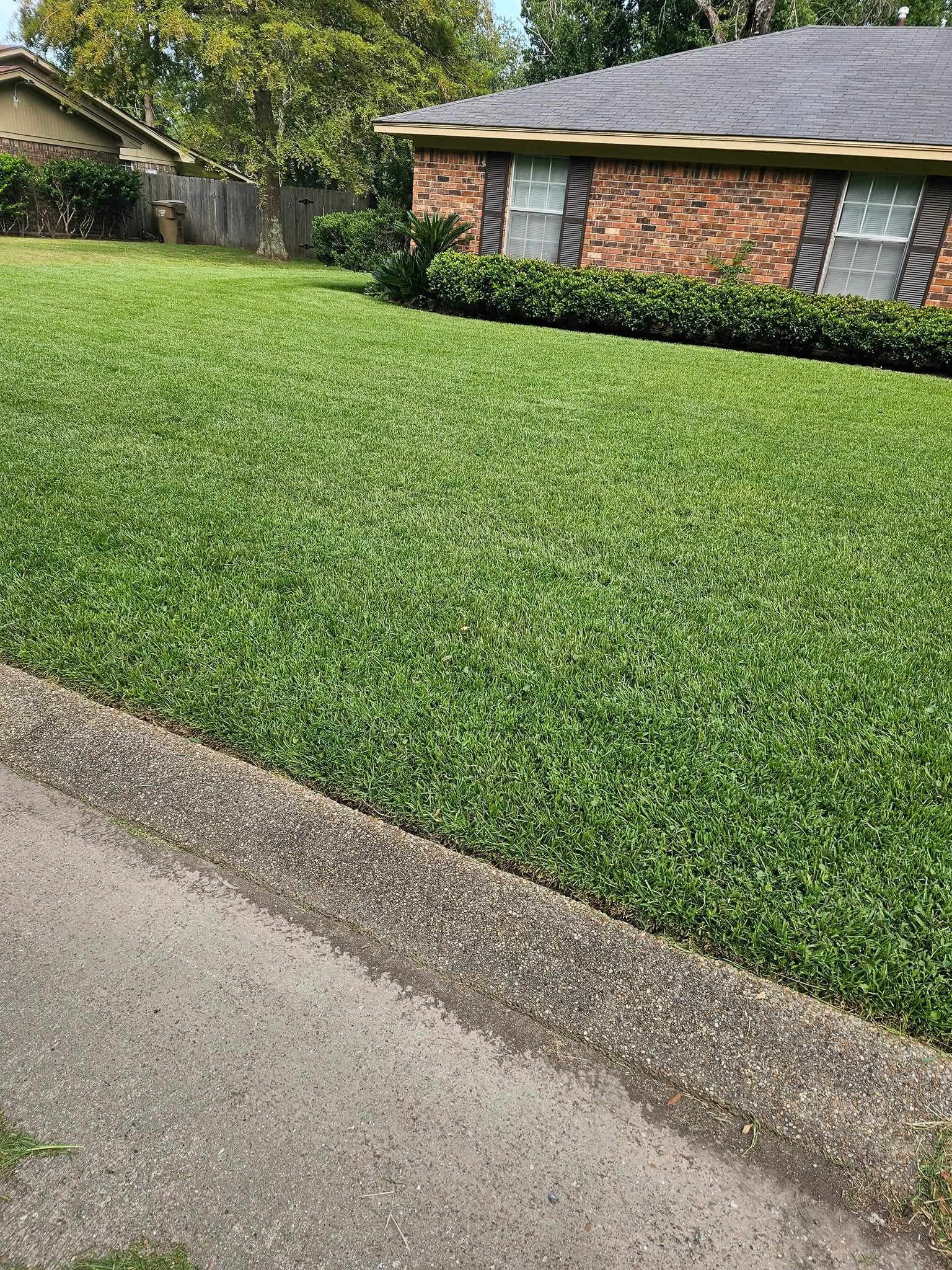 Thick lawn with a crisp curb edge and a trimmed hedge along a brick home