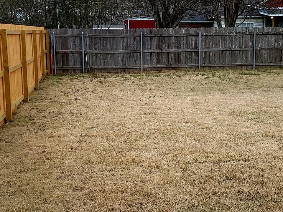 Cleared, dormant winter yard along a new wood fence